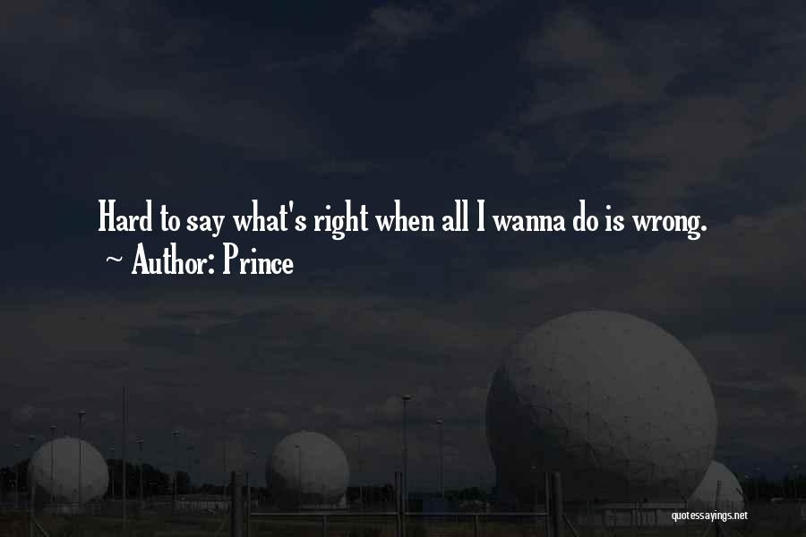 All I Wanna Do Quotes By Prince