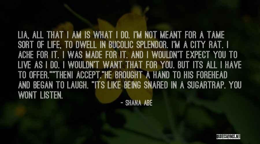 All I Want In Life Quotes By Shana Abe All I Want In Life Quotes By Shana Abe