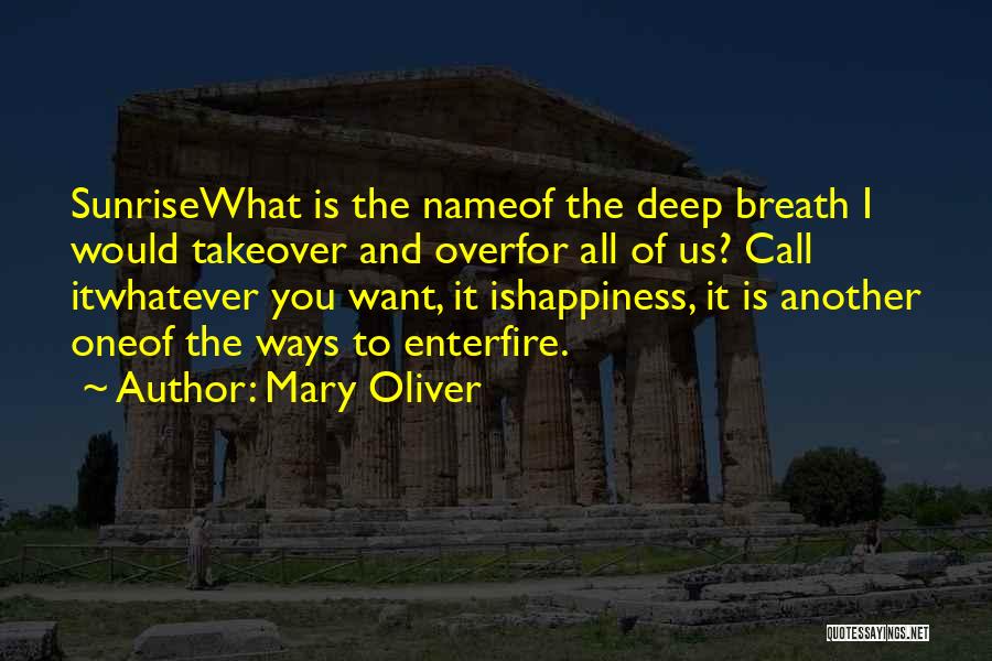 All I Want Is Happiness Quotes By Mary Oliver