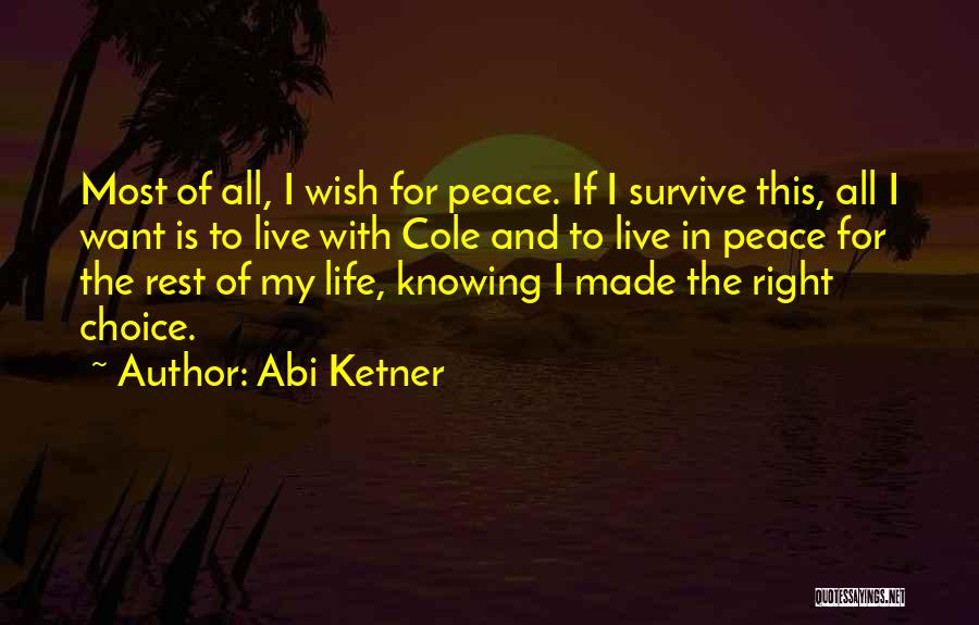 All I Want Is Peace Quotes By Abi Ketner