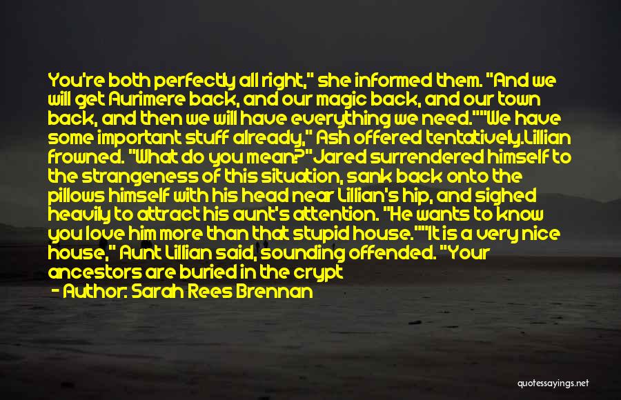 All I Want Is You Back Quotes By Sarah Rees Brennan