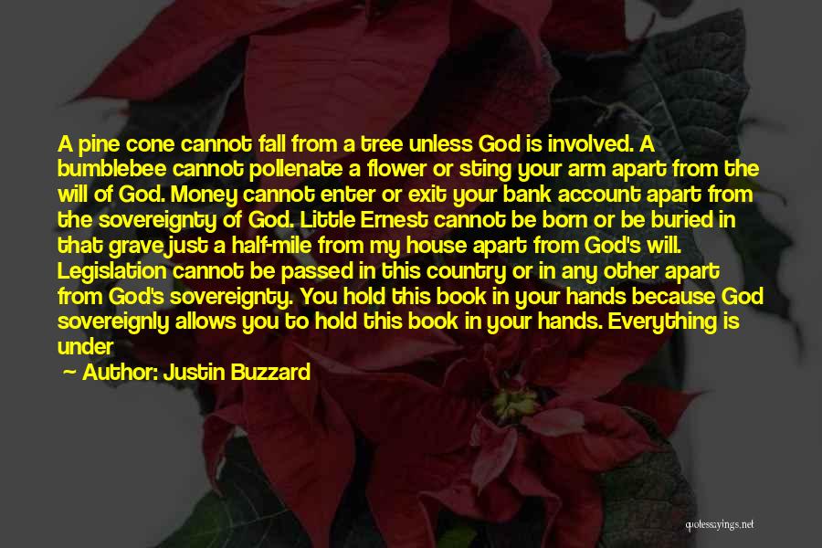 All In God's Hands Quotes By Justin Buzzard