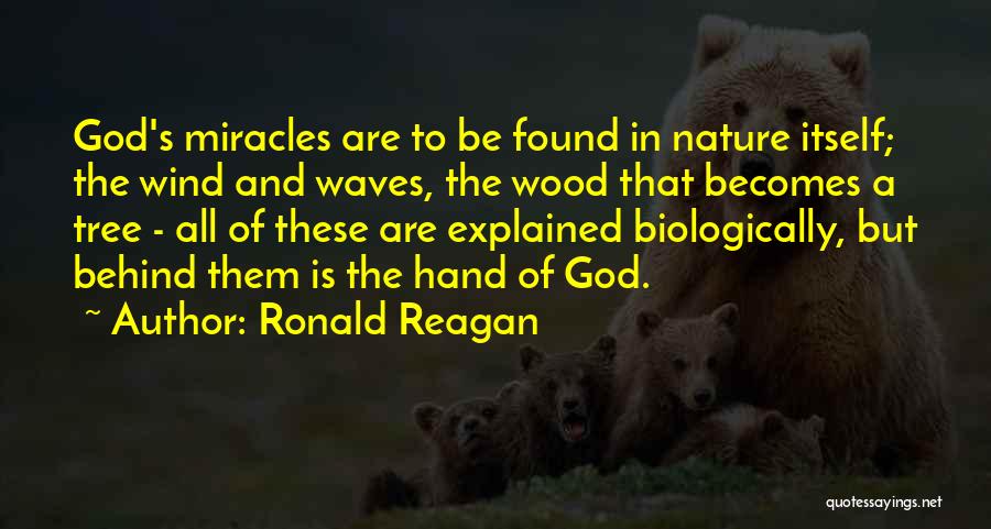 All In God's Hands Quotes By Ronald Reagan