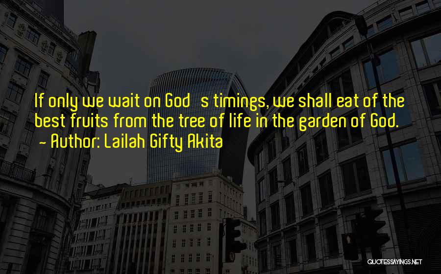 All In God's Timing Quotes By Lailah Gifty Akita