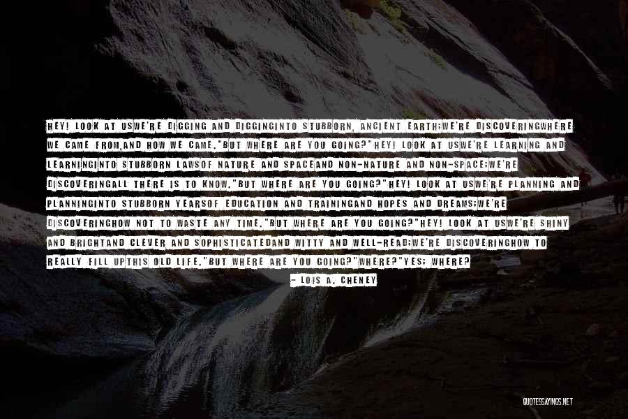 All Is Going Well Quotes By Lois A. Cheney All Is Going Well Quotes By Lois A. Cheney