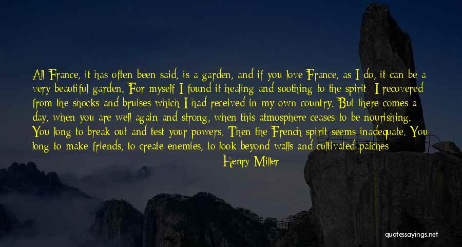 All Life Insurance Quotes By Henry Miller