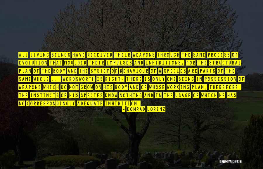All Living Beings Quotes By Konrad Lorenz All Living Beings Quotes By Konrad Lorenz