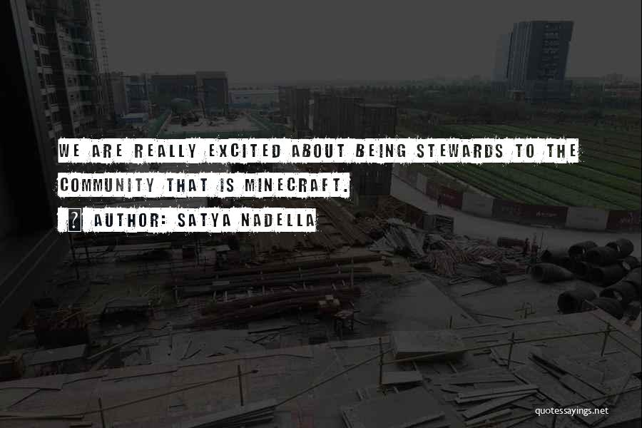 All Minecraft Quotes By Satya Nadella