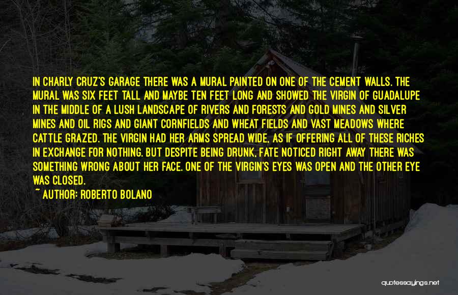 All Mines Quotes By Roberto Bolano