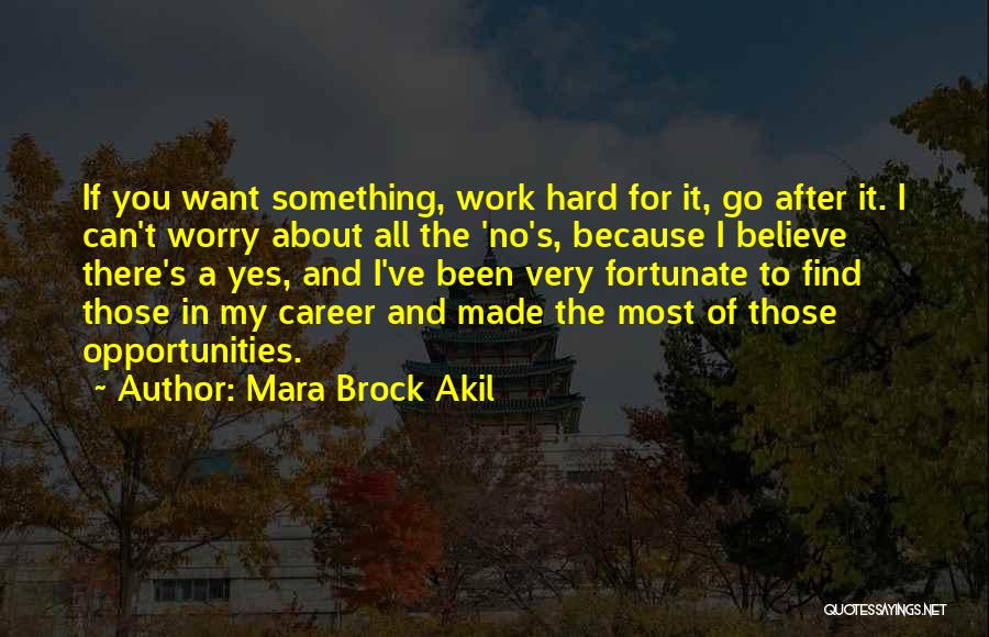 All My Hard Work Quotes By Mara Brock Akil