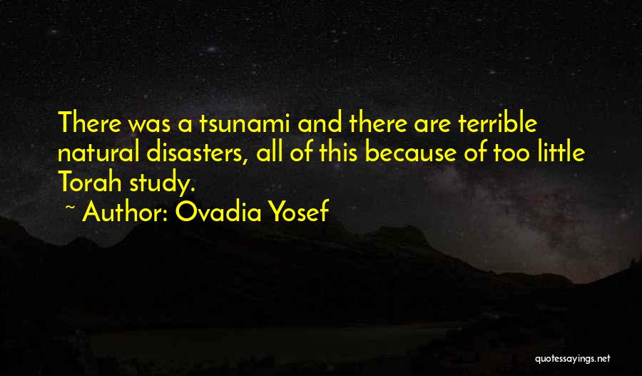 All Natural Disasters Quotes By Ovadia Yosef