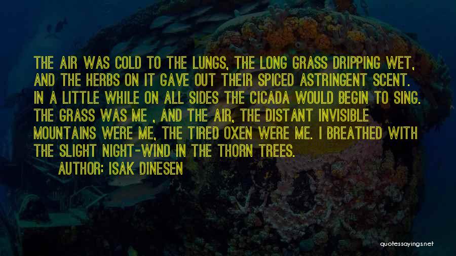 All Night Long Quotes By Isak Dinesen