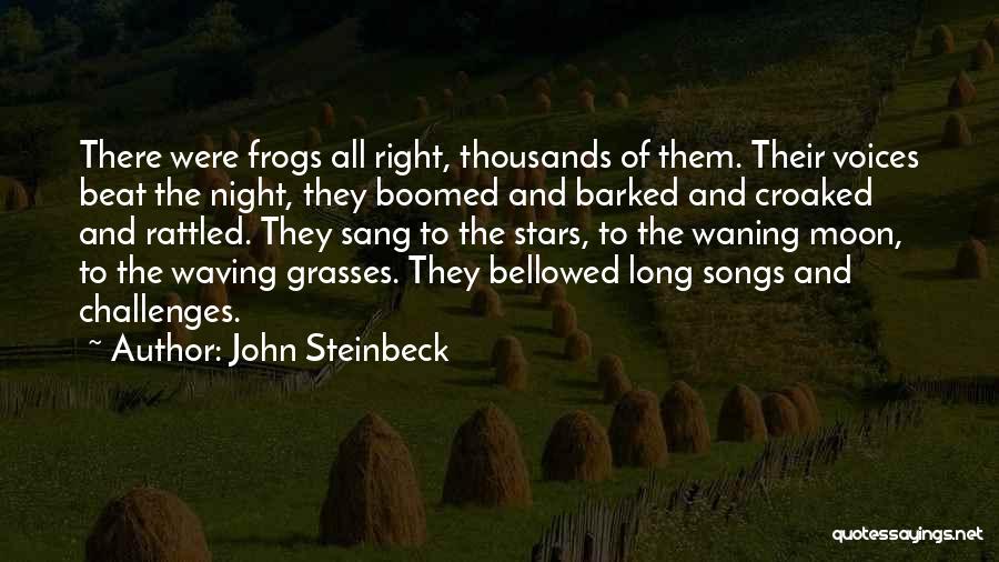 All Night Long Quotes By John Steinbeck