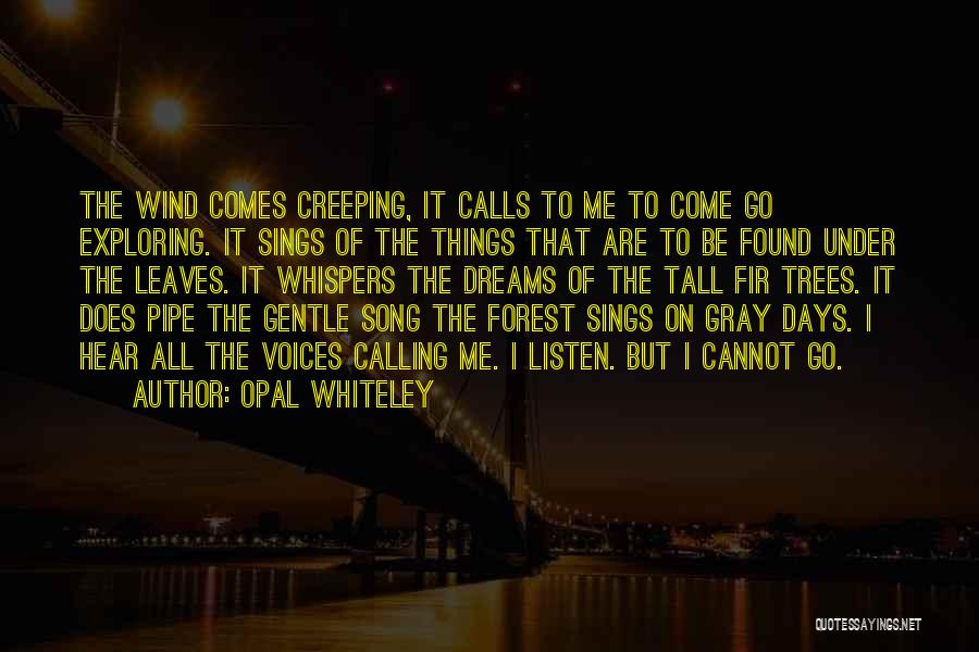 All Of Me Song Quotes By Opal Whiteley