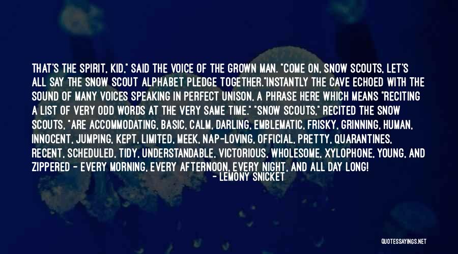 All Of Scouts Quotes By Lemony Snicket All Of Scouts Quotes By Lemony Snicket