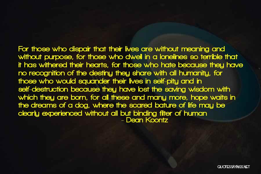 All Our Dreams Can Come True Quotes By Dean Koontz All Our Dreams Can Come True Quotes By Dean Koontz