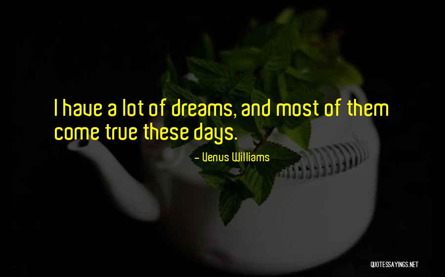 All Our Dreams Can Come True Quotes By Venus Williams