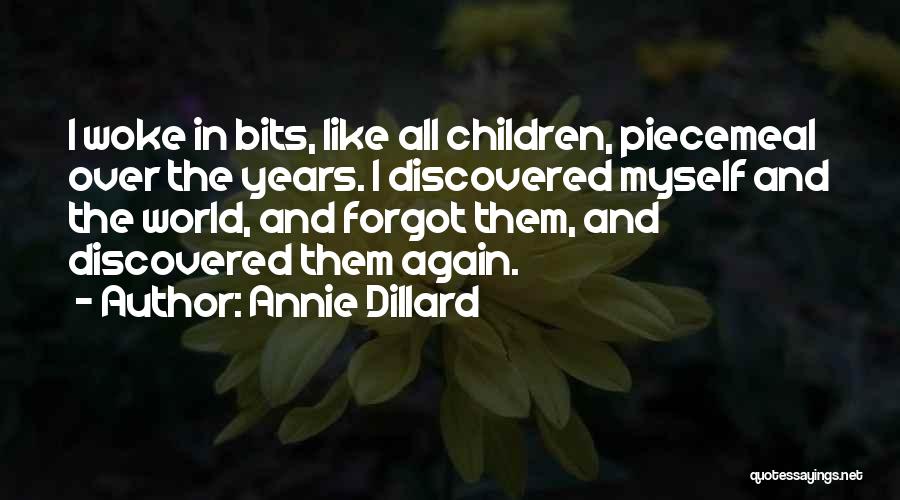 All Over Again Quotes By Annie Dillard