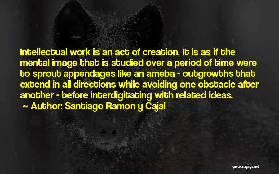 All Over Creation Quotes By Santiago Ramon Y Cajal