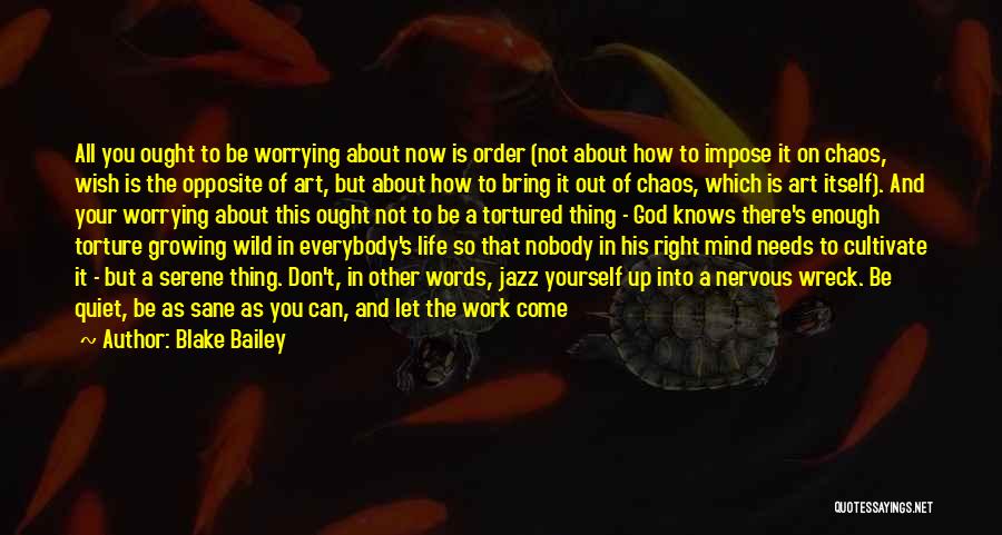 All Quiet Quotes By Blake Bailey