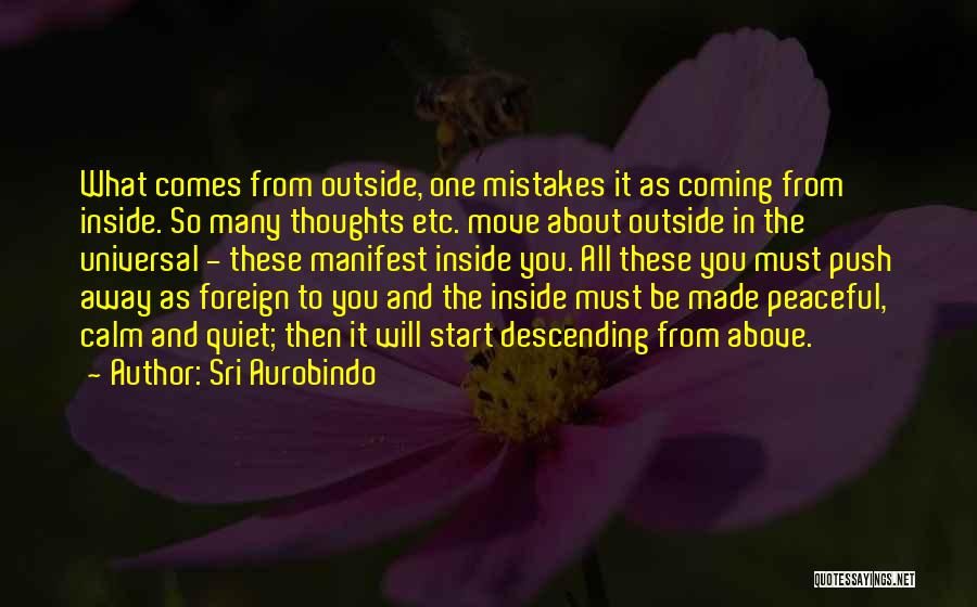 All Quiet Quotes By Sri Aurobindo