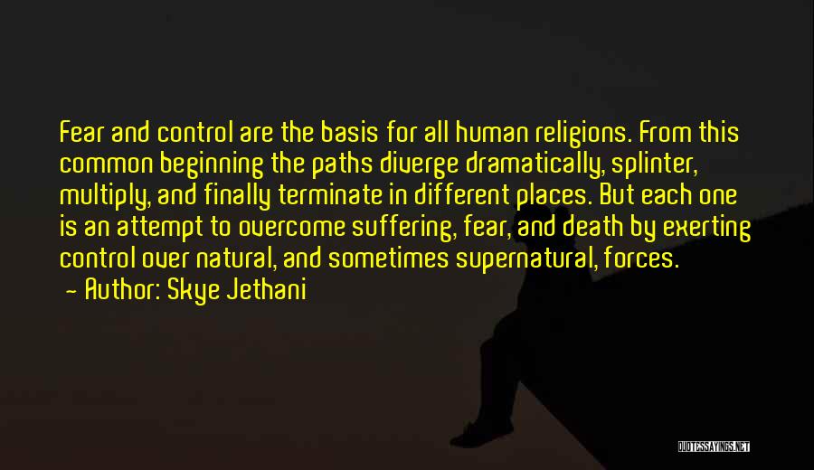 All Religions Are One Quotes By Skye Jethani