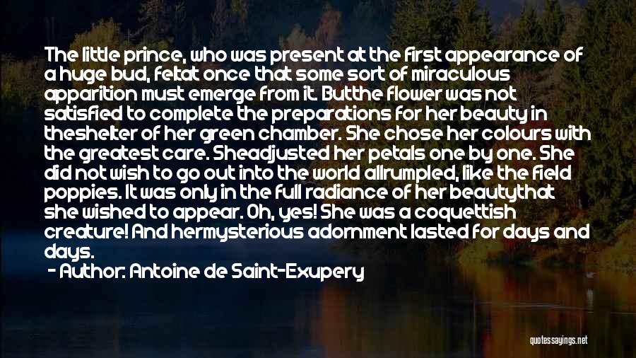 All Saint Days Quotes By Antoine De Saint-Exupery