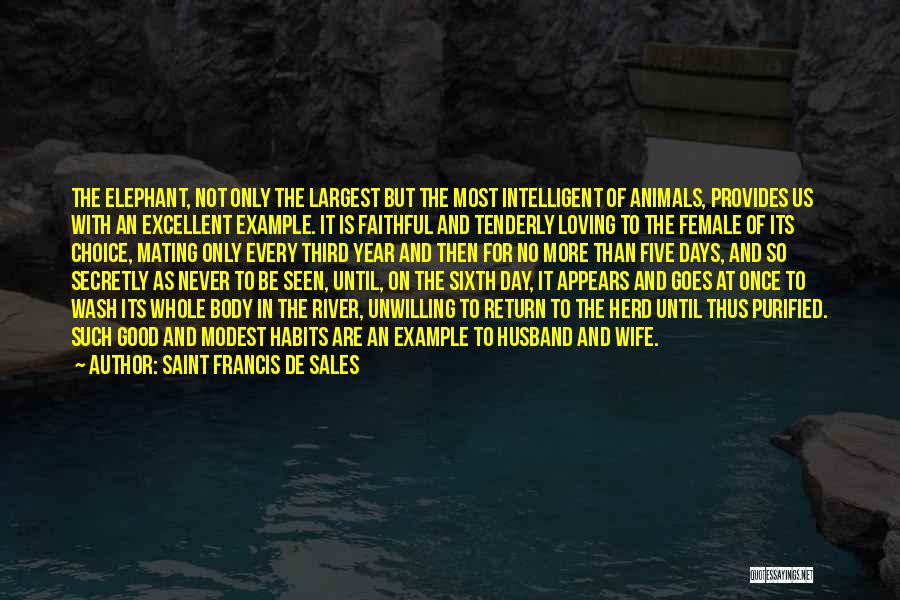 All Saint Days Quotes By Saint Francis De Sales