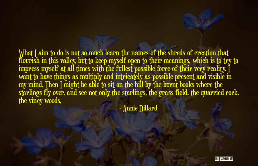 All Seeing Eye Quotes By Annie Dillard All Seeing Eye Quotes By Annie Dillard