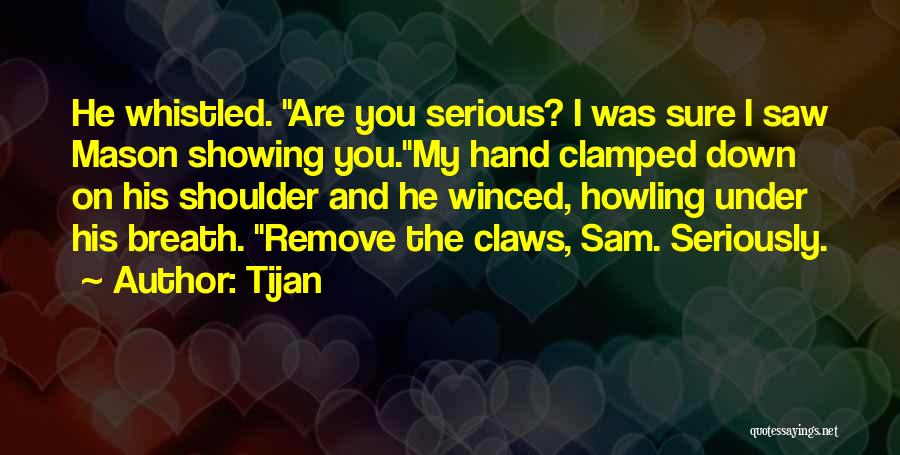 All Serious Sam Quotes By Tijan