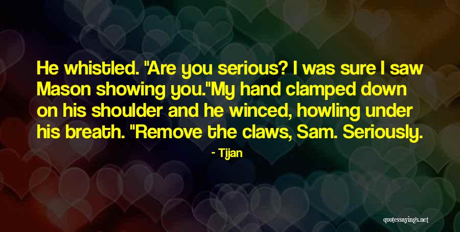 All Serious Sam Quotes By Tijan