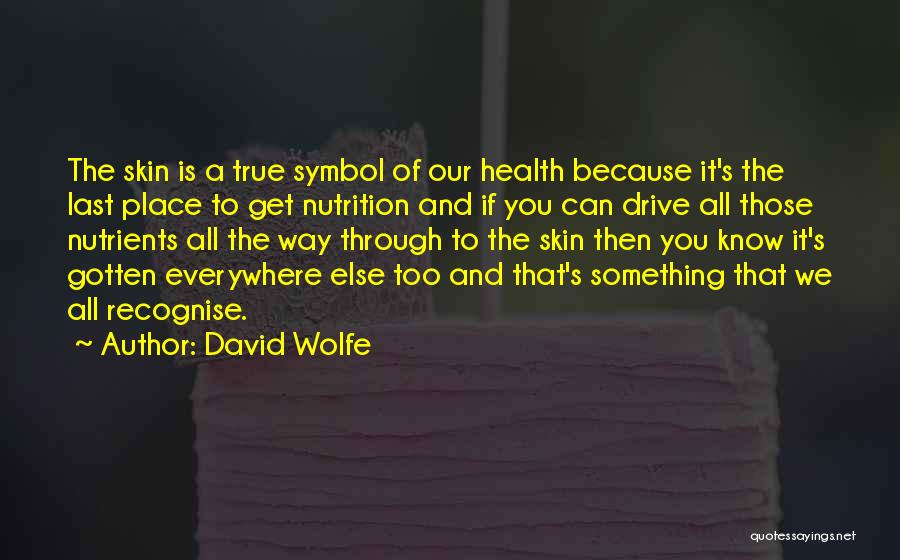 All Skins Quotes By David Wolfe