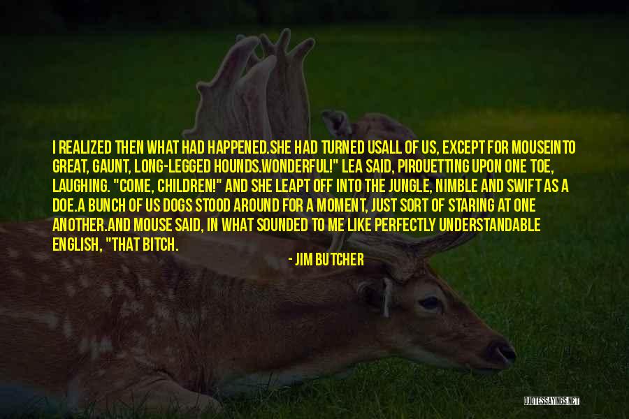 All Sort Of Quotes By Jim Butcher