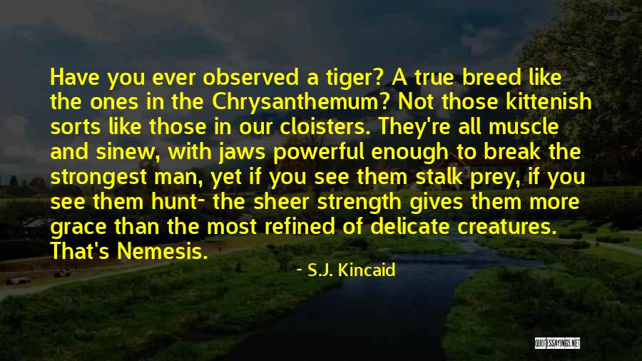 All Sorts Quotes By S.J. Kincaid All Sorts Quotes By S.J. Kincaid