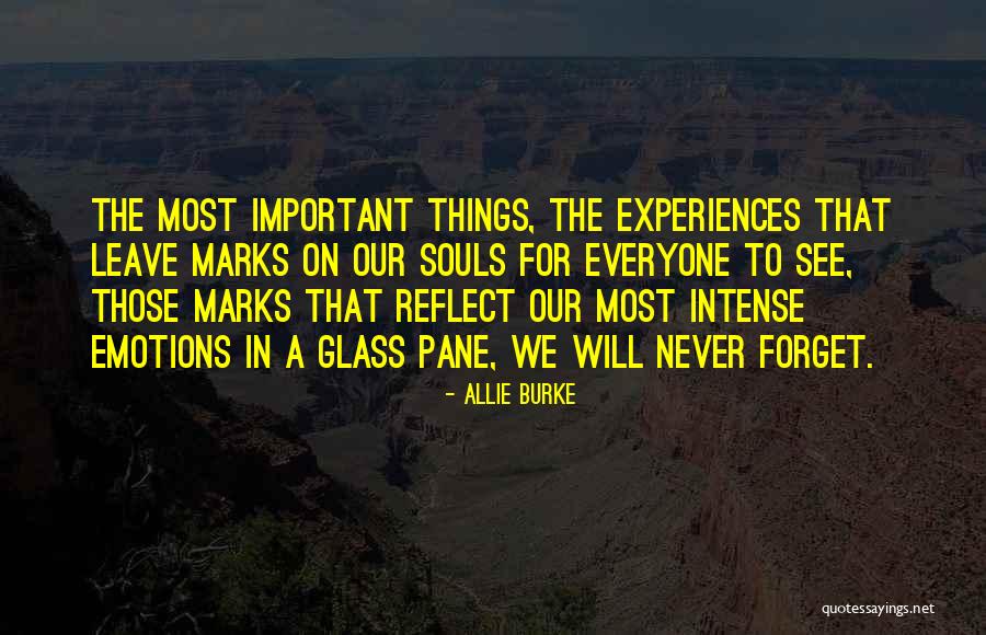 All Souls Important Quotes By Allie Burke