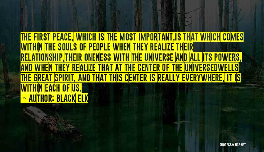 All Souls Quotes By Black Elk