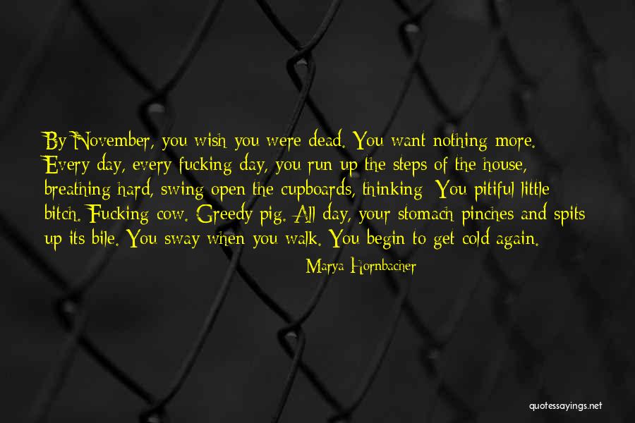 All Steps For Cold Quotes By Marya Hornbacher