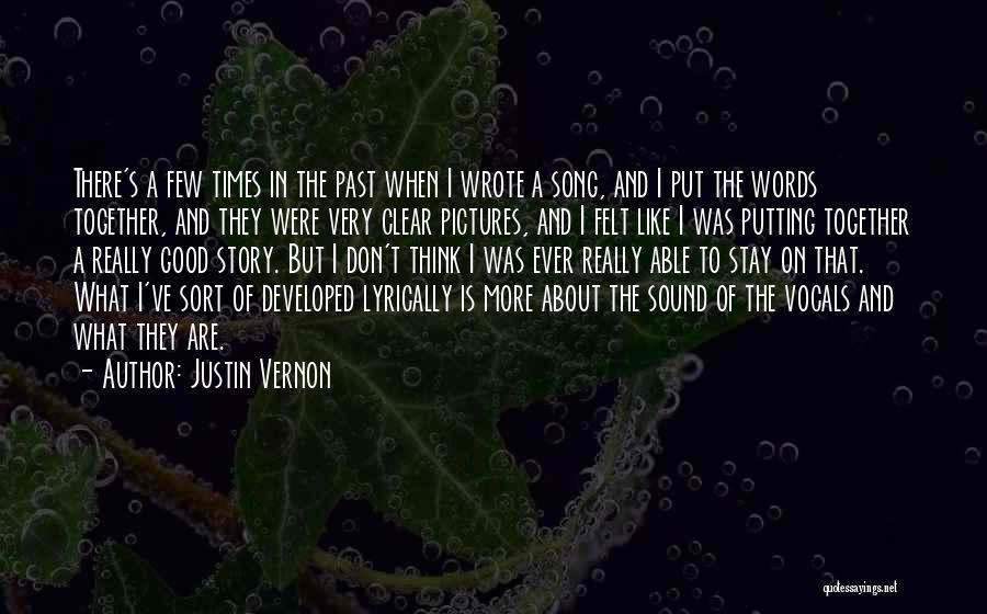 All The Good Times We Had Together Quotes By Justin Vernon