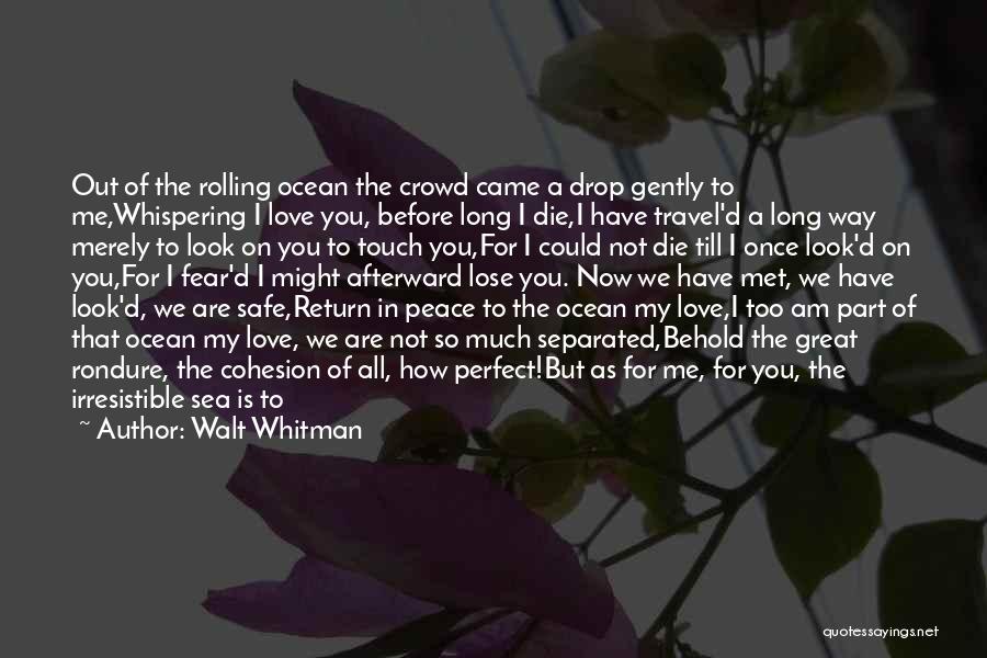 All The Love I Have For You Quotes By Walt Whitman