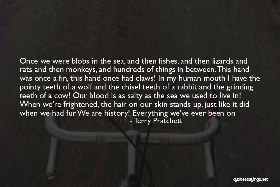 All The Memories We Had Quotes By Terry Pratchett All The Memories We Had Quotes By Terry Pratchett