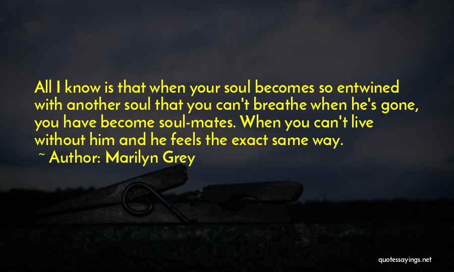 All The Same Quotes By Marilyn Grey