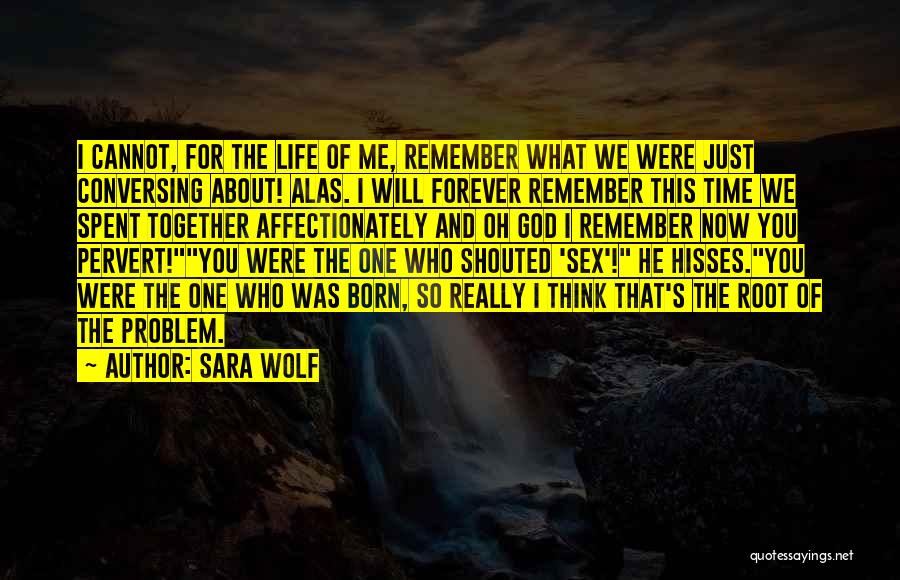 All The Time We Spent Together Quotes By Sara Wolf