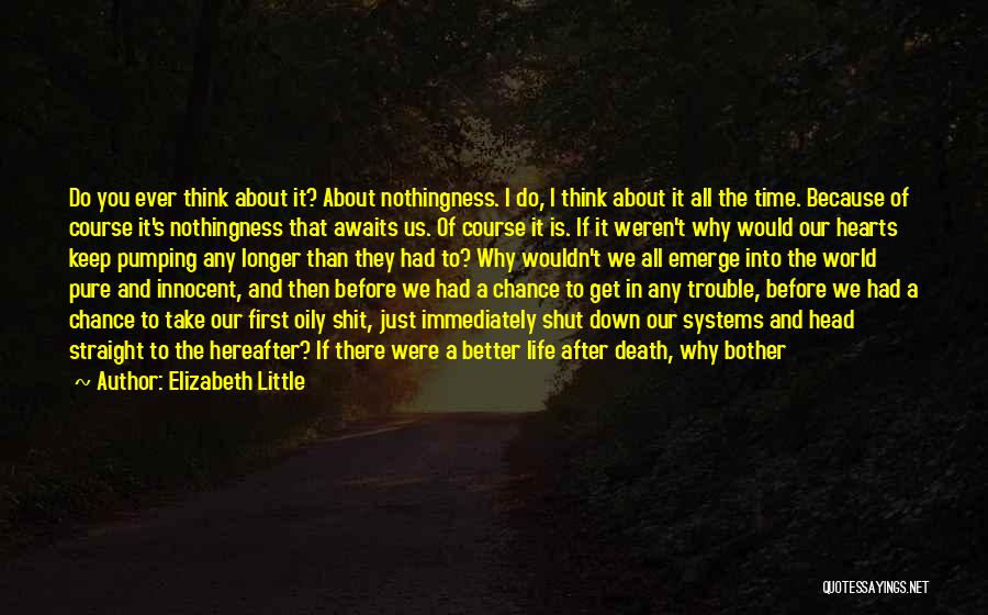 All The Trouble In The World Quotes By Elizabeth Little