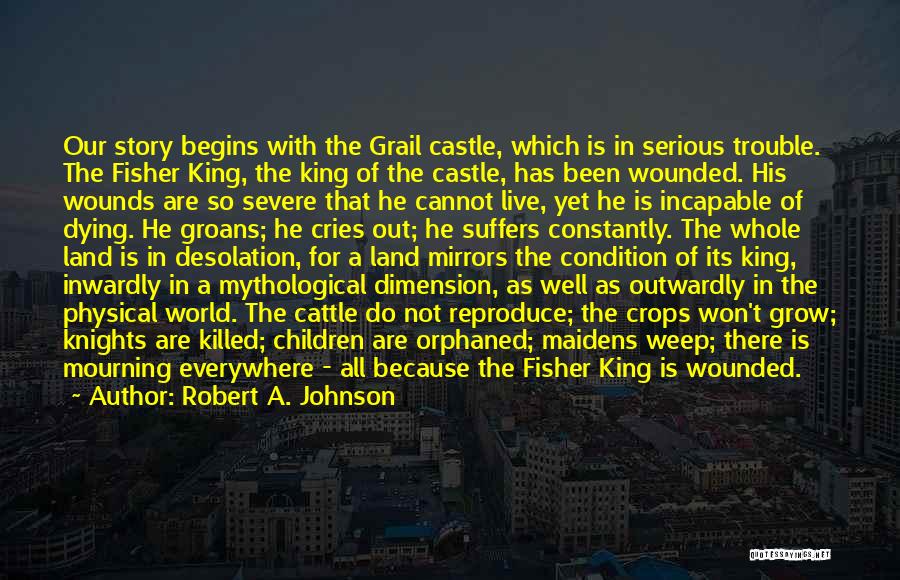 All The Trouble In The World Quotes By Robert A. Johnson