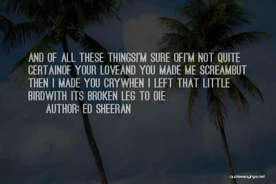 All These Little Things Quotes By Ed Sheeran