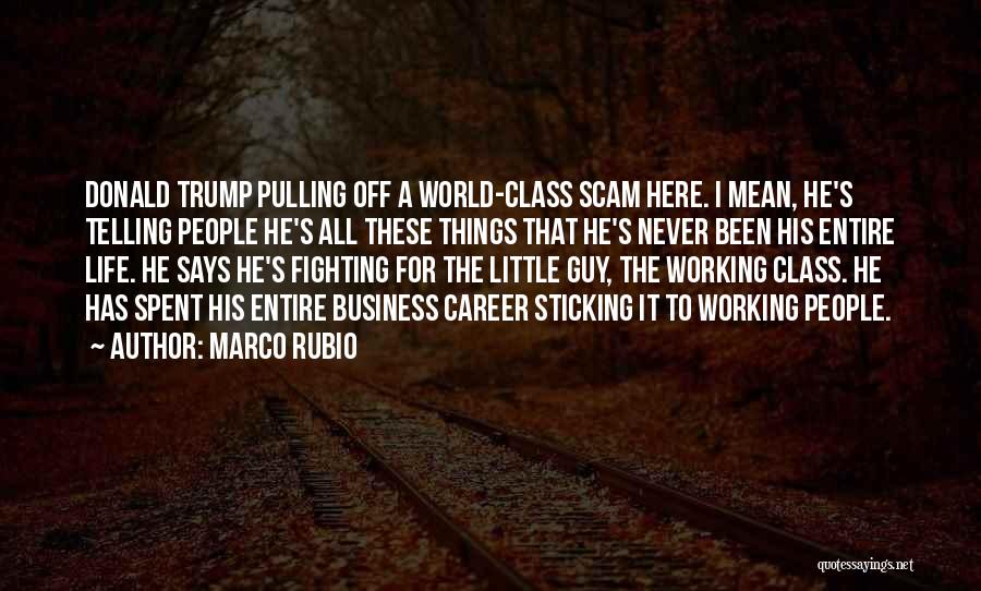 All These Little Things Quotes By Marco Rubio