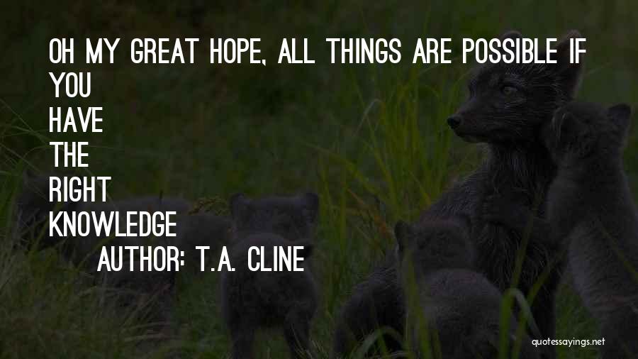 All Things Are Possible Quotes By T.A. Cline