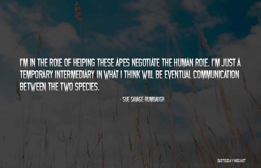 All Things Are Temporary Quotes By Sue Savage-Rumbaugh All Things Are Temporary Quotes By Sue Savage-Rumbaugh