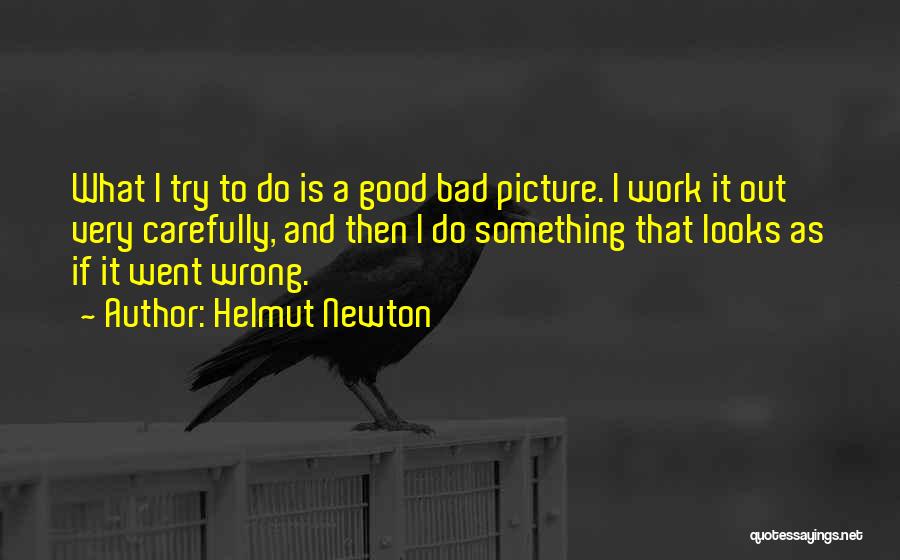 All Things Are Working For My Good Quotes By Helmut Newton