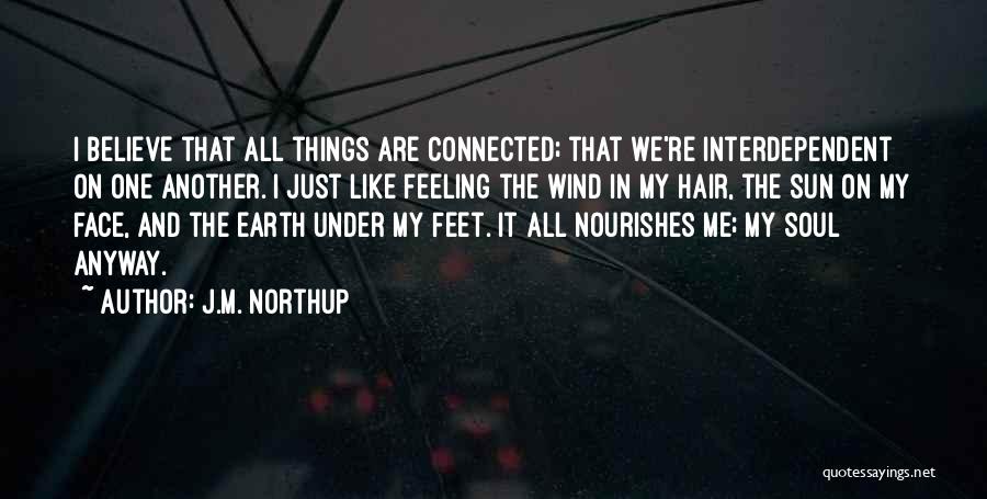 All Things Connected Quotes By J.M. Northup